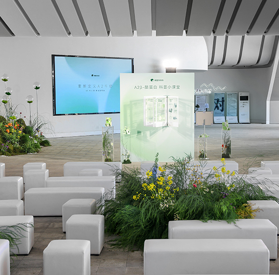 锤子6年了 我们找到了它没有死的秘密